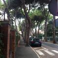 意大利当地小镇日常生活景象小马路